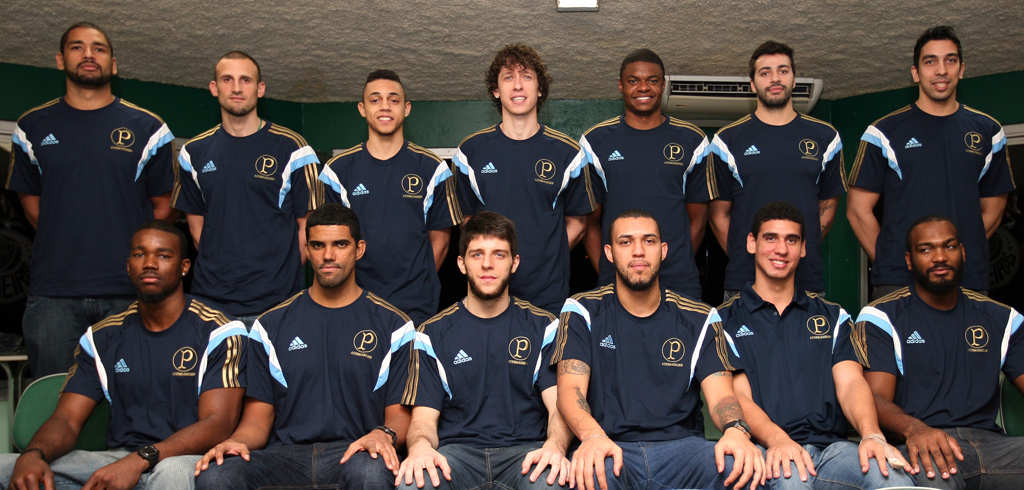 Para a temporada 2014/2015, o elenco do Palmeiras terá caras conhecidas e novidades para a torcida (Fabio Menotti/Ag.Palmeiras)