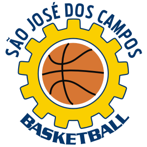 Mini bola de basquete - Esportes e ginástica - Jardim São Dimas, São José  dos Campos 1255100326